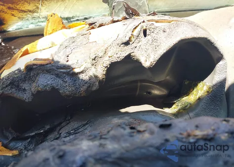 2008 Kia Sedona Lx из США, поврежденный, VIN KNDMB233586202841